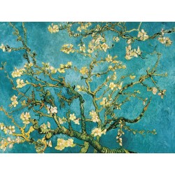 Mandorlo in fiore